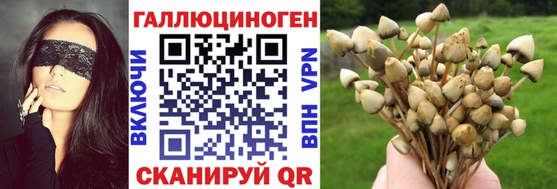 Псилоцибиновые грибы мухоморы  Сланцы 